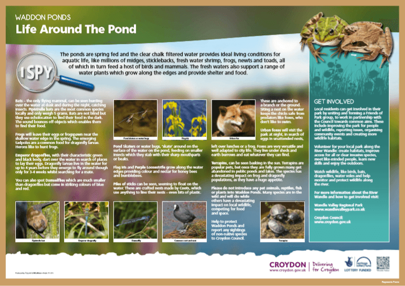 Waddon Ponds Wildlife • Wandle Valley